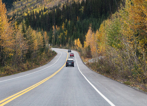 Plan and Document Fall Road Trips with a Dash Cam